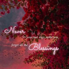 the words never let your bad days make you forget all the blessing