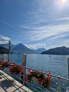 some red flowers hanging from the side of a metal railing near water with mountains in the background