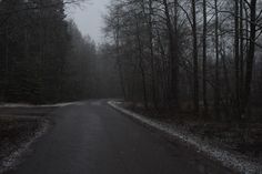 an empty road in the middle of a forest on a foggy day with trees and snow