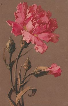 a painting of pink flowers in a vase on a brown background with leaves and stems