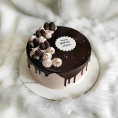 a chocolate cake with white frosting and seashells on top, sitting on a fluffy surface