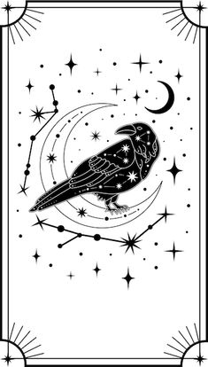 a black and white drawing of a bird sitting on top of a star filled sky