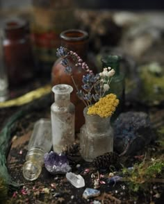 Herbal Witch, Nature Witch, Witch Herbs, Cottage Witch, Green Witchcraft, Witches Altar, Goblin Core, Hedge Witch, Season Of The Witch