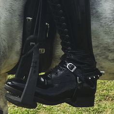 the boots are attached to the horse's bridle