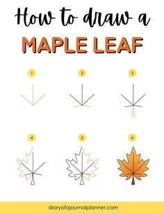 how to draw a maple leaf with four different shapes and numbers on each side, including the