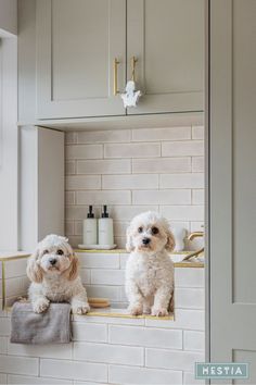 two dogs sitting on the ledge of a bathroom