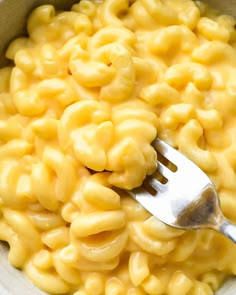 a fork in a bowl full of macaroni and cheese