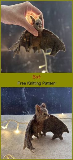 two pictures showing different types of bat wings