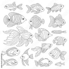 a set of different types of fish in black and white, on a white background