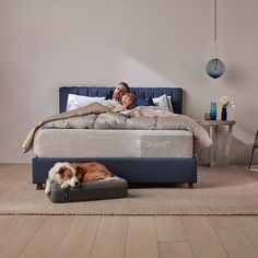 a man laying on top of a bed next to a brown and white dog sleeping