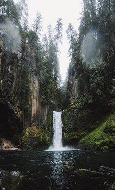 a large waterfall in the middle of a forest