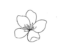 a black and white drawing of a flower