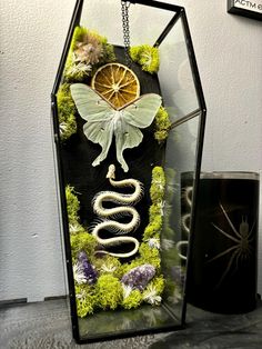 a glass box with some plants and a butterfly on it