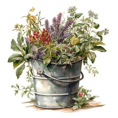 a bucket filled with lots of flowers on top of a wooden floor next to plants