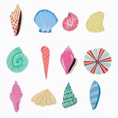 an image of seashells on white paper