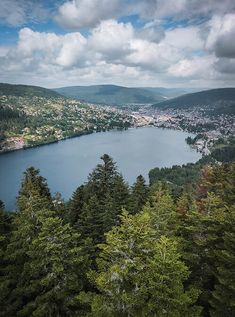 a lake surrounded by trees in the middle of a forest