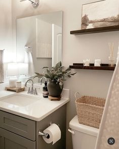 a white toilet sitting next to a bathroom sink under a mirror with a plant on top of it