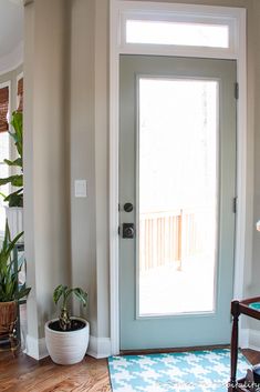 a blue and white rug in front of a door with potted plants next to it