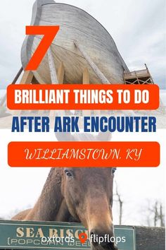 a horse with the words brilliant things to do after ark encounter in front of it