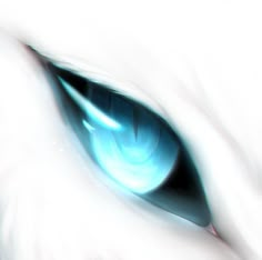 an animal's eye is shown in this artistic photo with blue and white colors