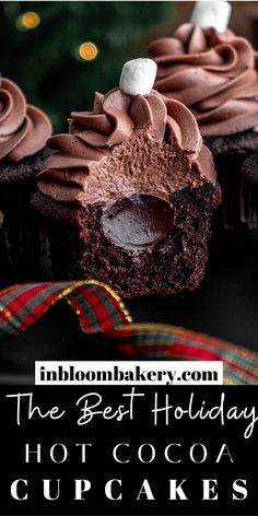 the best holiday hot cocoa cupcakes with chocolate frosting and marshmallows