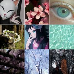 many different pictures with blue eyes and white flowers in the middle one has a cat on it's head