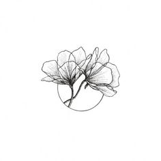 a drawing of some flowers in a circle