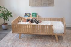 a baby laying in a wooden crib next to a potted plant on a rug