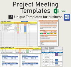 project meeting templates for excel and word documenting with the text,'project meeting templates '