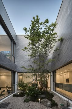 an indoor courtyard with trees and rocks