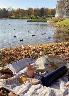 an open book and cup on a blanket near the water with ducks in the background