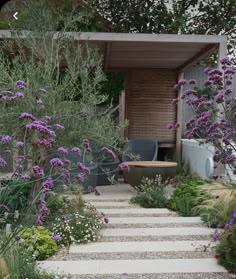 an outdoor garden with purple flowers and plants