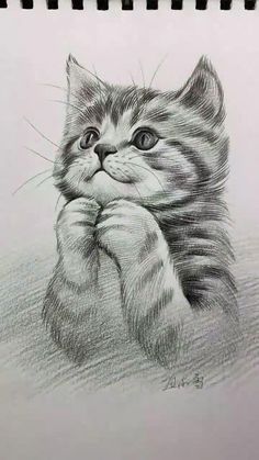 a pencil drawing of a kitten with its paws on the ground and eyes open, looking up