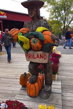 a statue of a scarecrow with pumpkins and squash on it's back