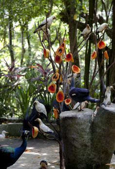 several birds are standing around in the woods near some trees and flowers, with one bird looking at the camera