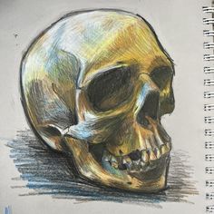 a colored pencil drawing of a skull