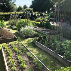 a garden filled with lots of different types of vegetables and plants in it's beds