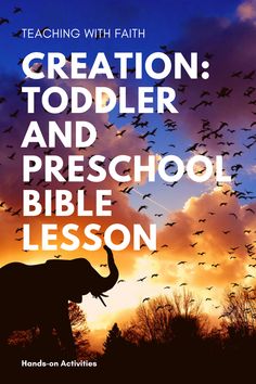 an elephant standing in front of a sunset with the words creation todder and preschool bible lesson