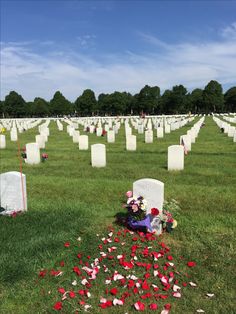 many headstones and flowers are on the grass in a field with blue sky behind them