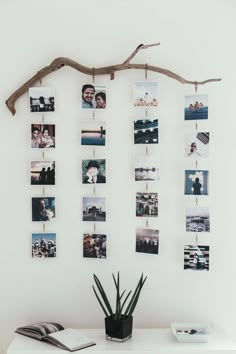 a white table topped with pictures and a plant next to a wall mounted photo frame