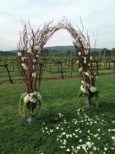 an arch made out of branches with white flowers and greenery on the ground in front of a vineyard