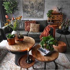 a living room filled with furniture and lots of plants on top of it's tables