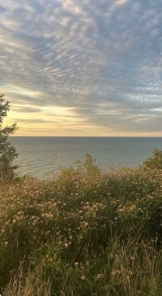 a bench sitting on top of a lush green hillside next to the ocean