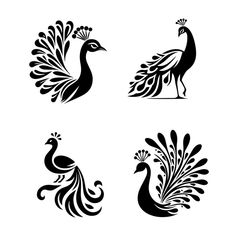 four black and white peacocks on a white background