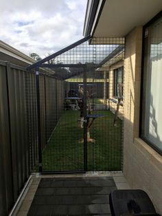 a person standing in front of a gated yard with a dog on the other side