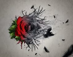 a red rose surrounded by black birds on a white background with feathers flying around it