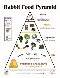 the food pyramid is labeled in several different languages