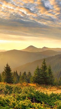 the sun is setting in the mountains with trees and grass on the ground below it