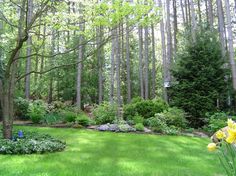 a lush green lawn surrounded by trees and flowers