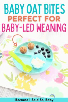 baby oat bites perfect for baby - led weaning